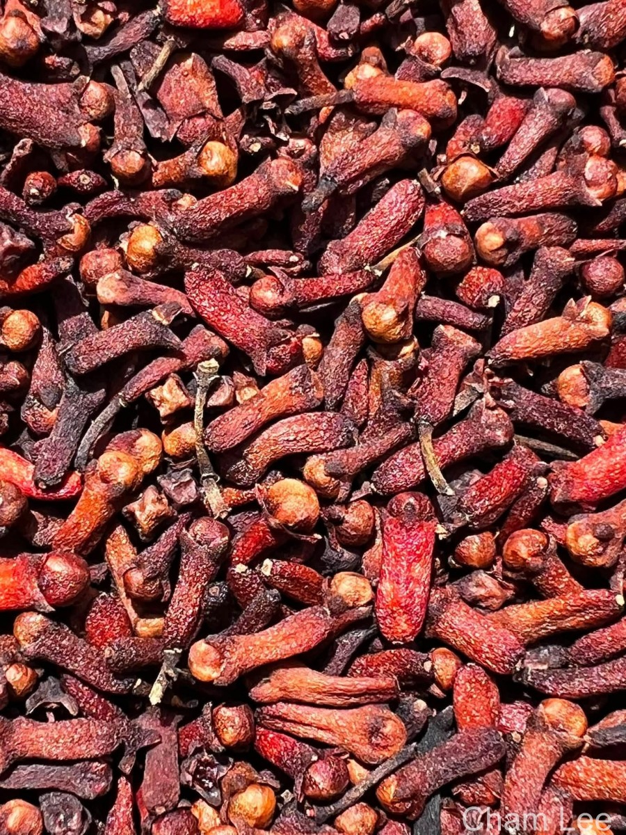 Syzygium aromaticum (L.) Merr. & L.M.Perry